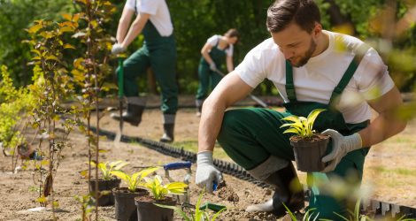 Gartenpflege und Hausservice