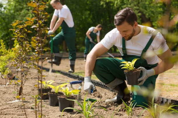 Gartenpflege und Hausservice