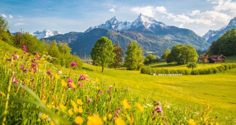 Hier können Sie eine entspannende Zeit inmitten der Idylle erleben