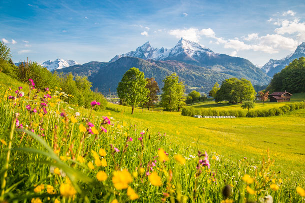 Hier können Sie eine entspannende Zeit inmitten der Idylle erleben