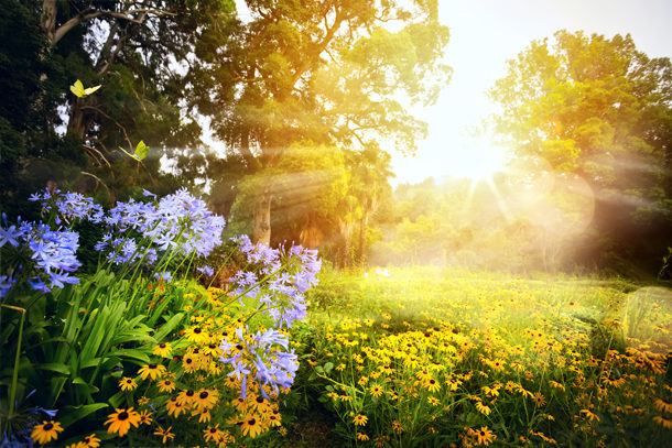 Bereiten Sie den Garten im Spätsommer auf den Winter vor.